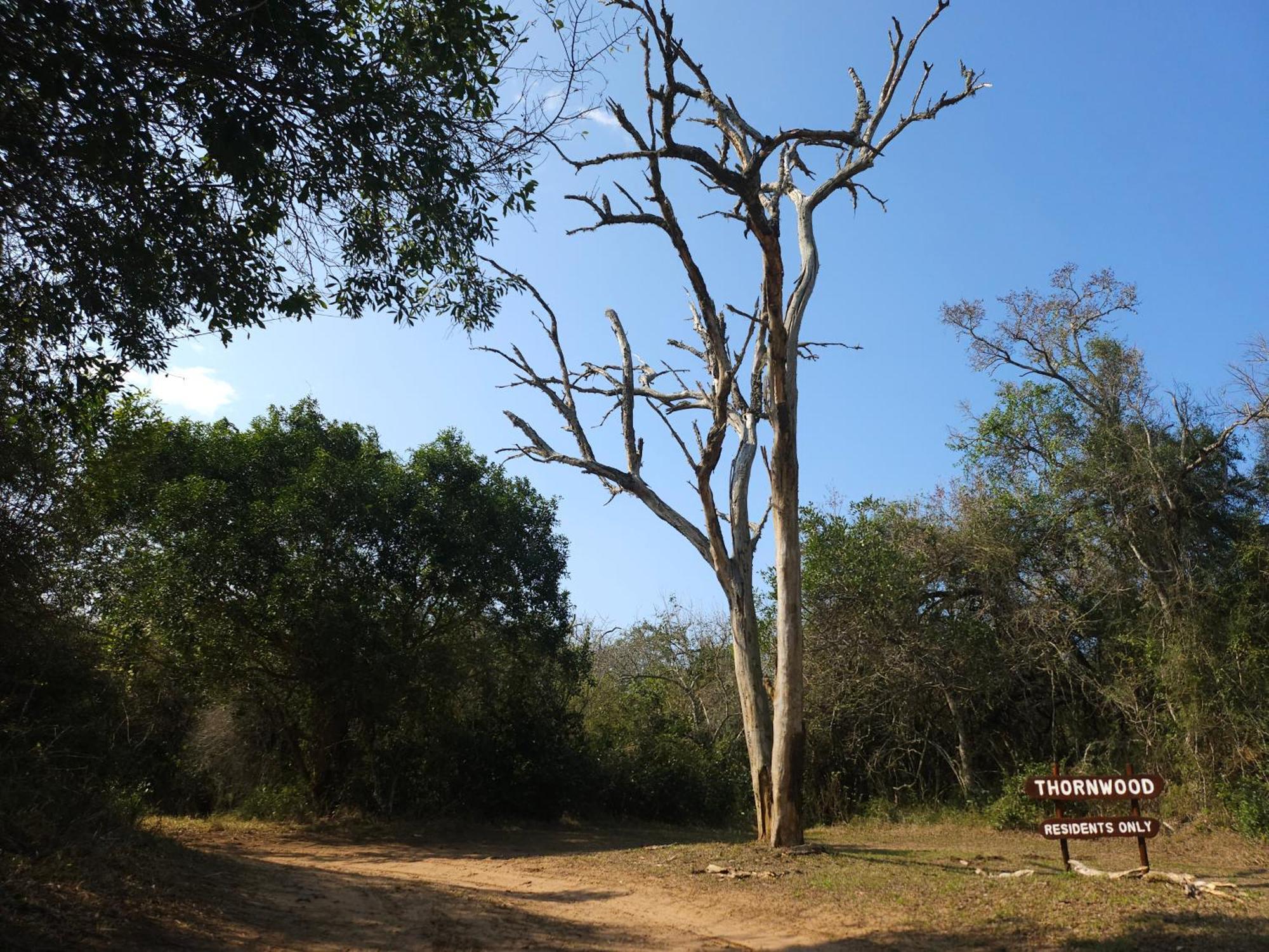 Thornwood Villa Hluhluwe Bagian luar foto