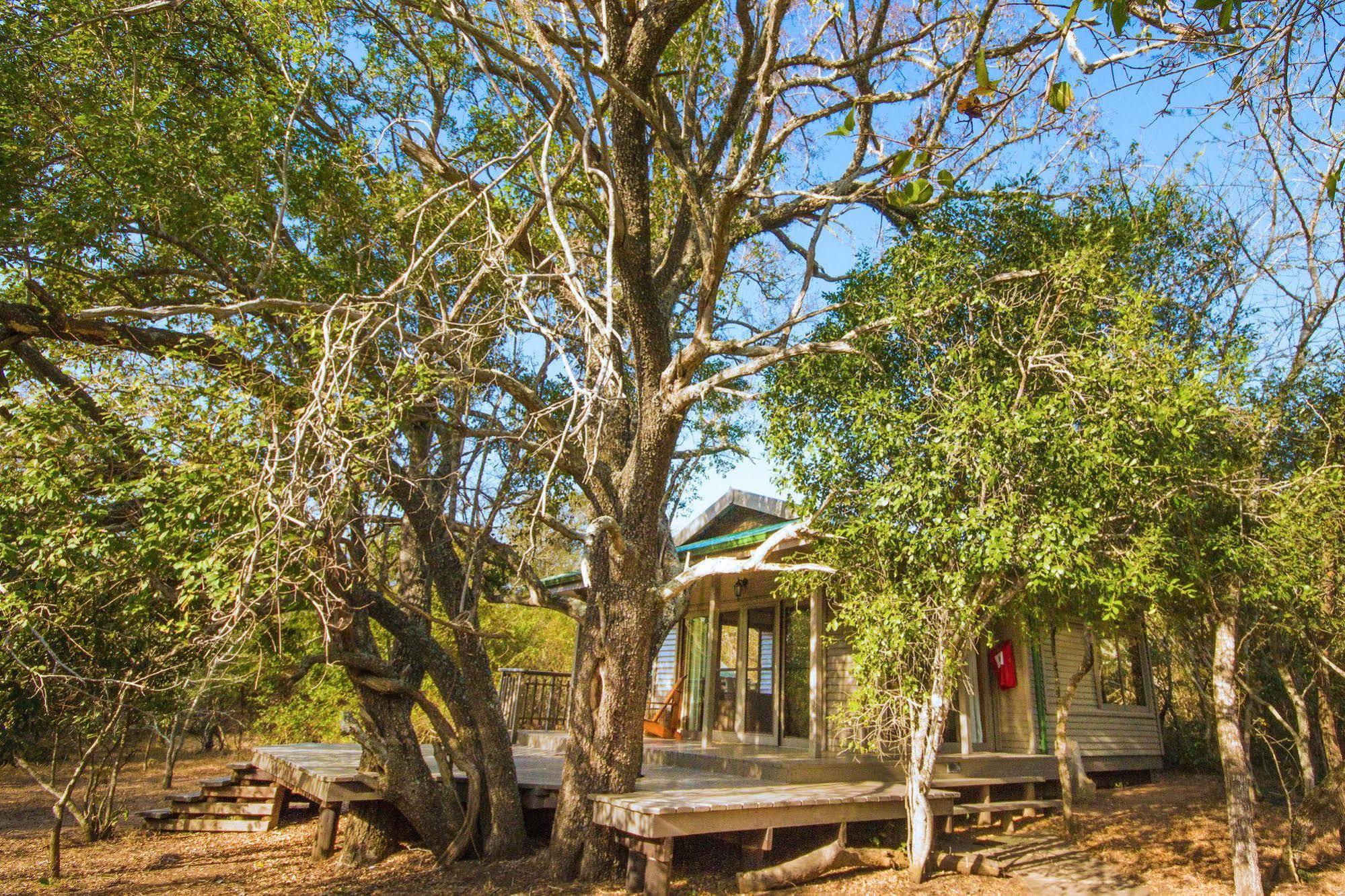 Thornwood Villa Hluhluwe Bagian luar foto