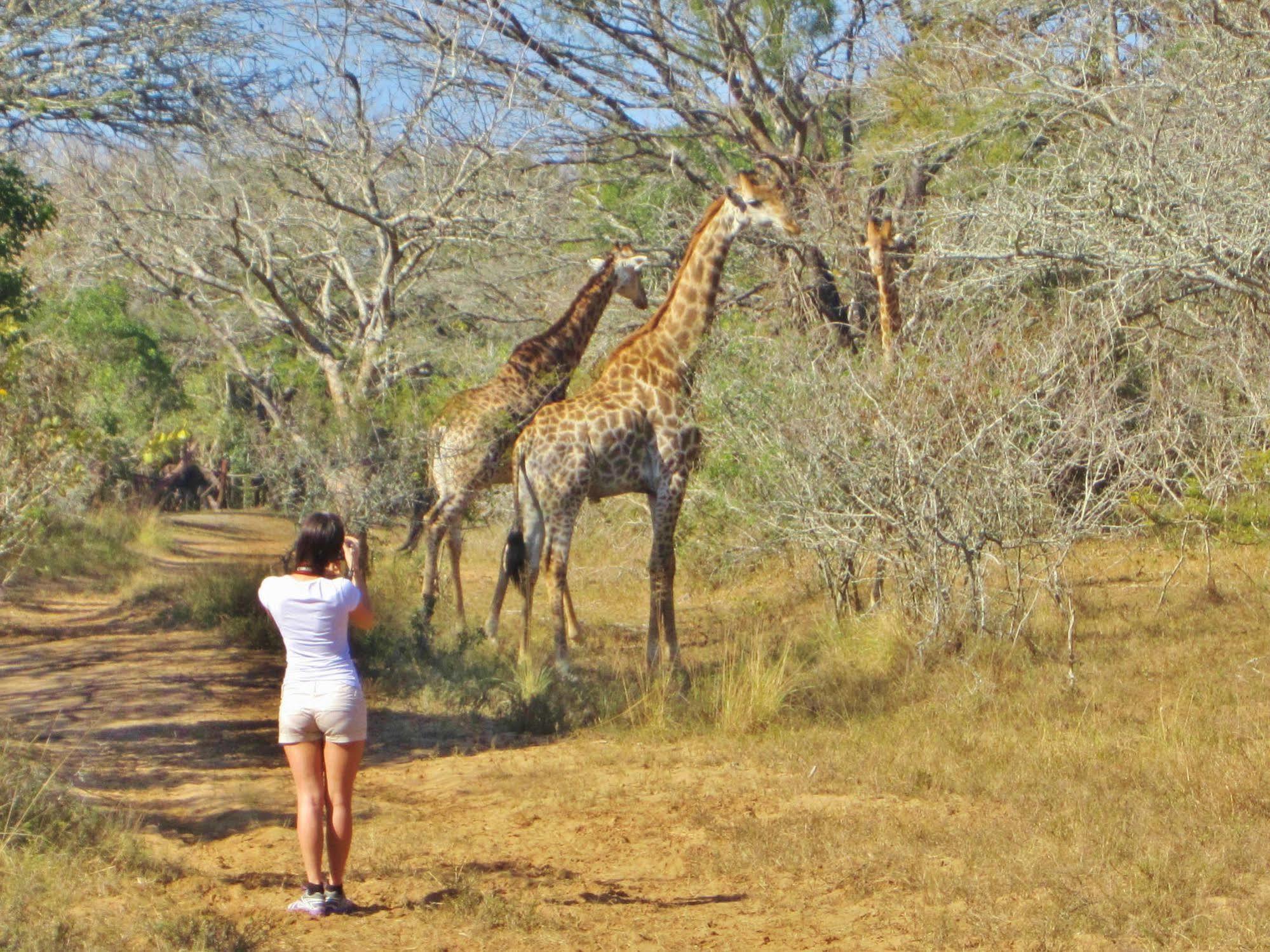 Thornwood Villa Hluhluwe Bagian luar foto